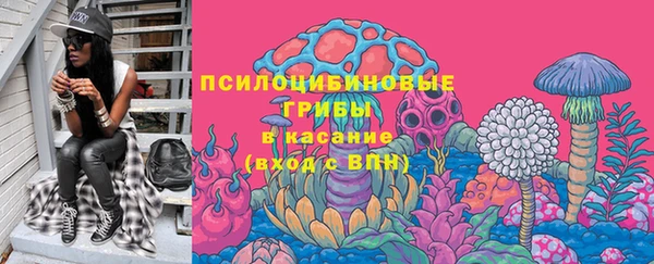 PSILOCYBIN Богородск