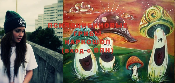 PSILOCYBIN Богородск