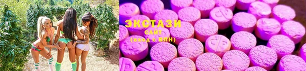 марки nbome Богданович
